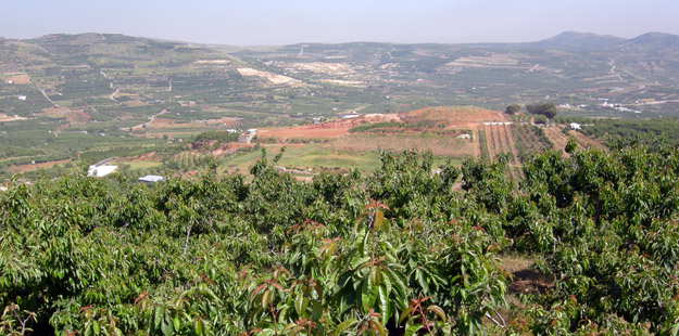 One of the cultivated valleys near Majdal Shams.