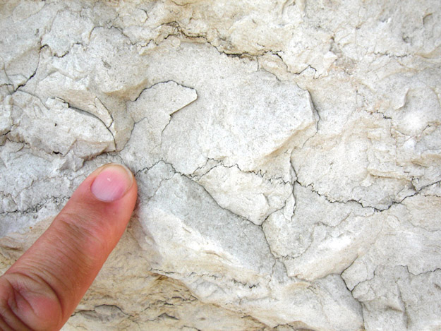 Close-up of the meleke variety of Jerusalem Stone.