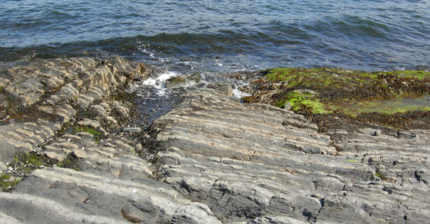 Middle Ordovician shales and limestones on the western shoreline of the Oslo Fjord.