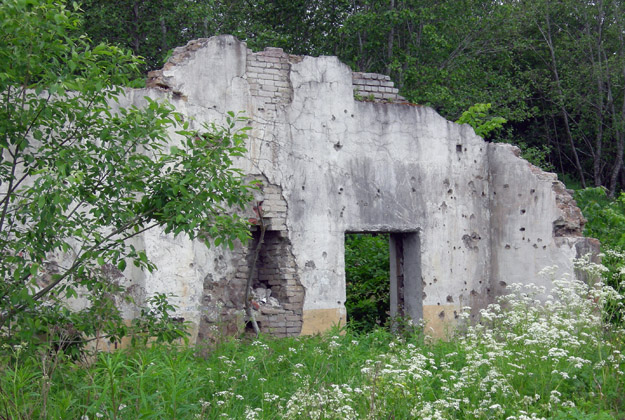 Building remnants near the Putilovo Quarry, Leningrad Region.