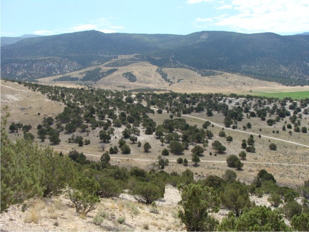 From the top of Black Hill, you can easily see the large landslide to the E.  The landslide originated toward the top of the Wasatch Plateau and spread into the adjacent Cane Valley.