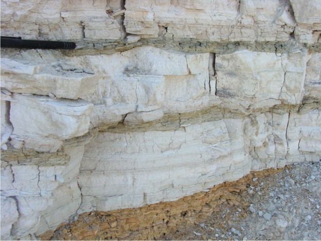One feature that remained a constant within the Green River Formation was the presence of iron-rich layers that were used in correlation.  On Black Hill, these iron-rich layers were more numerous and sometimes thicker.