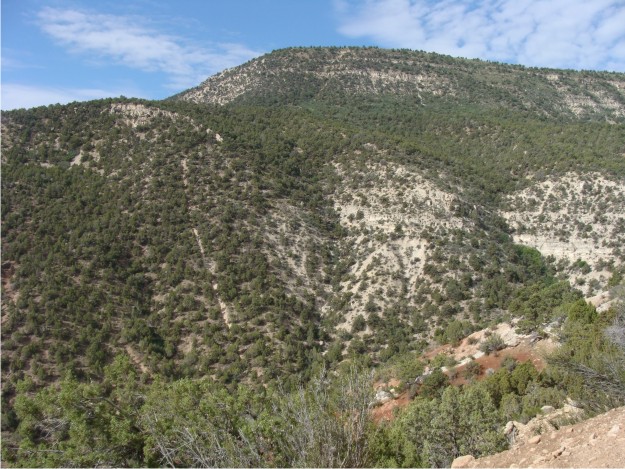 Here is a view of the north-facing slope in Dry Canyon.  If you look closely, you can see the Flagstaff Limestone outlining the presence of a monocline in the area.