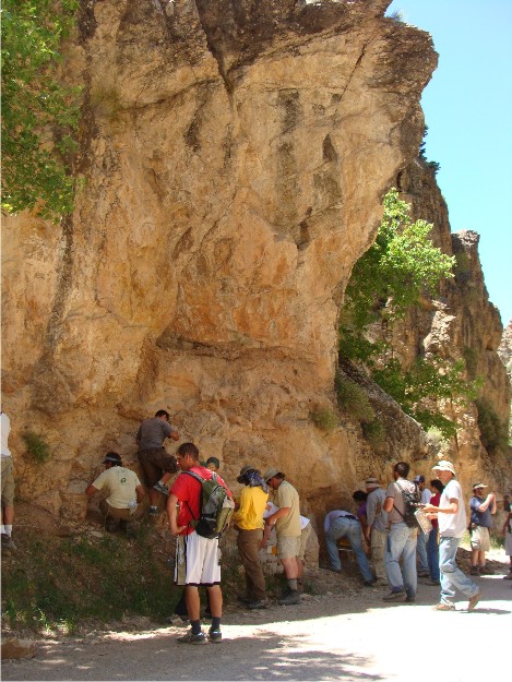 The Wooster and OSU gang looks at some of the rocks exposed in the Pavant Range.