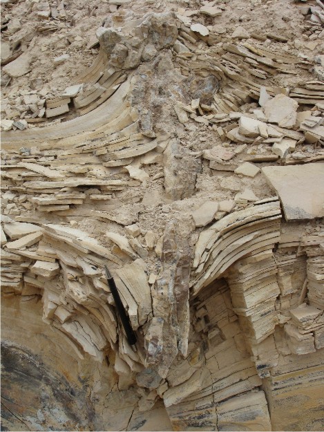 At the top of Gal Hill, the Green River Formation has been bent both downward and upward and fractured, separated by vertical chert lenses.