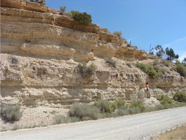 Scenic overview of Gal Hill, a small hill on edge of Ephraim.  In the center of the photo, the larger ledge is the resistant tuff.