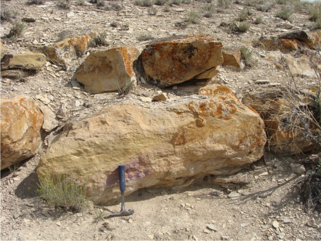 View of the largest tuff that was erupted into the Green River lake.  In places, the tuff is up to 4 ft thick and represents a moment in geologic time.