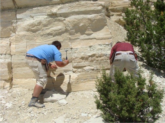 The guys are busy trying to "mine out" a thin green tuff bed within the limestones of the Green River.  As Phil put it, finding this green tuff was "money", because it will help us correlate this quarry to other stratigraphic sections in the area.