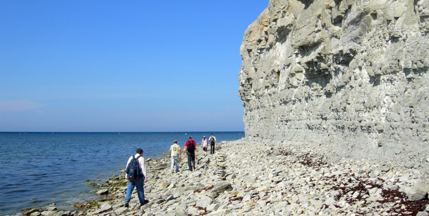 The Estonia team at Panga Cliff on the northern coast of Saaremaa (N58.55321°, E22.28577°).  What a spectacular day it was.