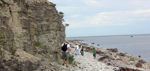 Suuriku Cliff formed of Lower Silurian limestones and shales (N58.50681°, E22.00334°).  This coastline has been available to geologists for less than 20 years.