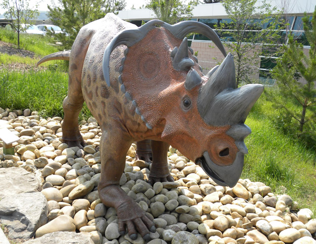 The dinosaur reconstructions inside and outside the museum are very well done.  This is a Cretaceous pachyrhinosaur with fearsome ornamentation.