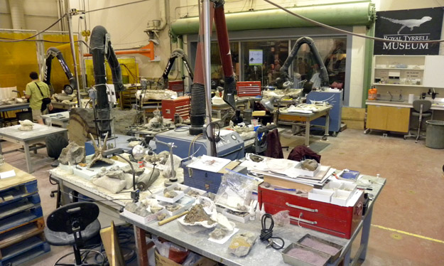 This is the main paleontological preparation lab at the museum.  It is filled with equipment designed for the most part to remove rock from bone.