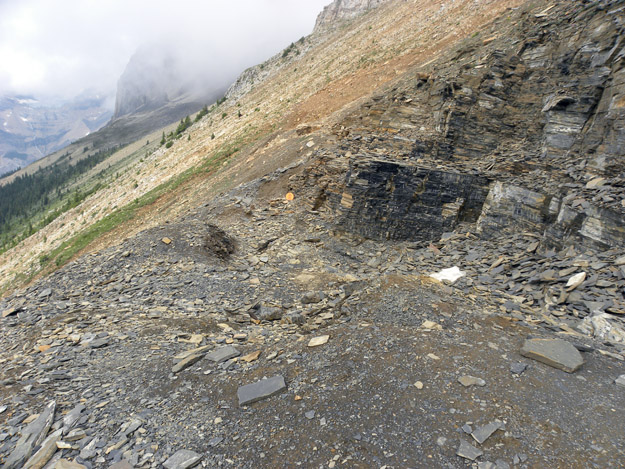 The Walcott Quarry of the Burgess Shale.