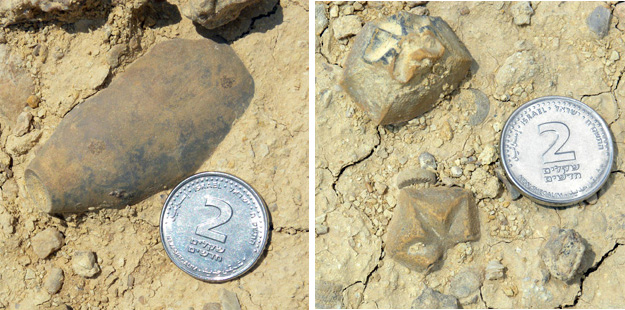 Crinoid calyx as found in the Matmor Formation (left); calyx fragments (right).  I use the two-shekel coin for scale because conveniently it is two centimeters in diameter!  Specimens found at N30.92907°, E34.97295°.