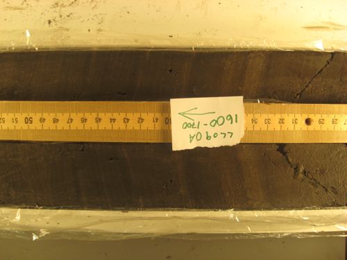 These laminated sediments represent the glacial-interglacial transition, which includes the glacial-Bolling-Allerod and Younger Dryas-Holocene transitions. 