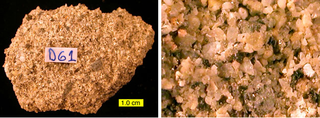 A sample of the same hardground as above with the organic material removed.  On the right is a closer view of the sand-sized grains making up the rock.  Notice that even in this view you can tell that the grains are poorly cemented to each other -- the rock is very crumbly.