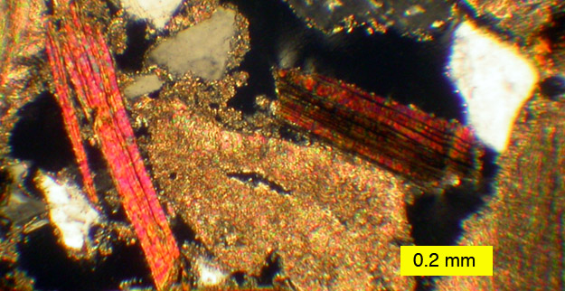 A beautiful view of a modern hardground in thin-section.  The platy orange, pinkish and brown grains are the mineral biotite (a mica), the gray and white angular grains are quartz, and the tan irregular grains are recrystallized shells and cements.  Sampled dredged from about 650 meters in the Strait of Messina between the Italian mainland and Sicily.  Collected by Agostina Vertino.