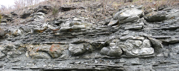 The "ball-and-pillow" structures in this view of the Kentucky Route 11 outcrop of the Fairview Formation are seismites produced by Late Ordovician earthquakes.  There are two seismite horizons, each with a flattened top produced by later erosion and redistribution of the sediments by oceanic currents.