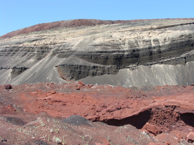 This is a photo of a cross-section through the Red Dome cinder cone, which is quarried for landscaping purposes.  Take a look at the pronounced bedding that is due to successive pulses of air-fall deposits.  We collected volcanic blocks and bombs both at the base of the cinder cone and then at the very top.