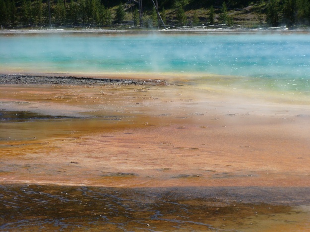 The colors of Yellowstone's Grand Prismatic Spring were incredibly beautiful.