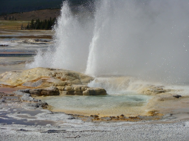 Above is a photo of Spasm Geyser, located in the Lower Geyser Basin.