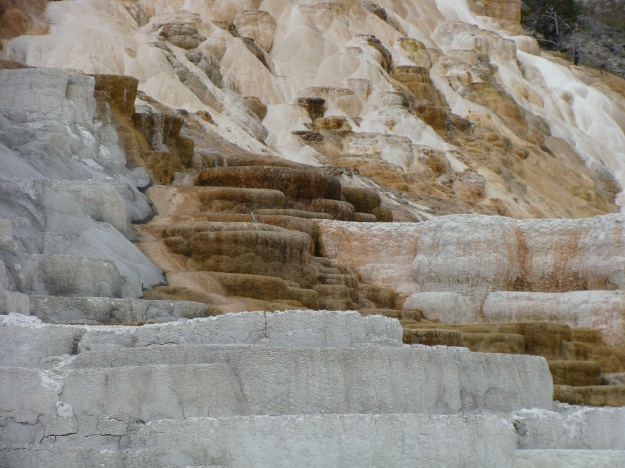 Mammoth Springs provided some wonderful exposures of travertine terraces, several of which were very active.