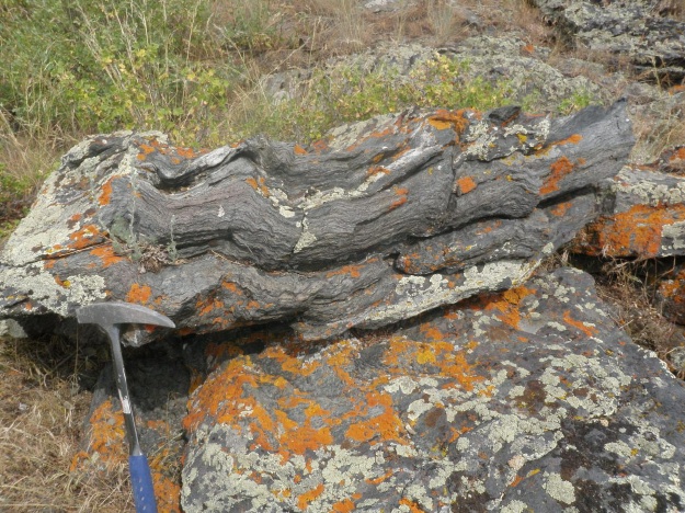 The rock here is a biotite schist. The main significance, however, are the wonderful crenulations in the rock (very small folds in the rock).