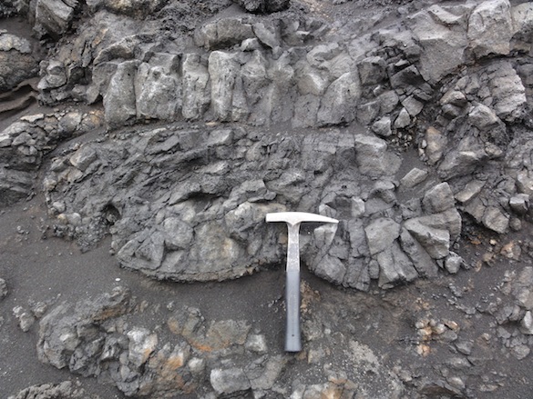 Image of a pillow lava that shows some of the features the students were looking for: radial columnar joints, glassy rind, interbedded hyaloclastite.