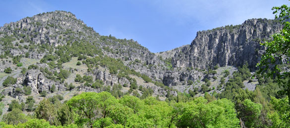 View of the northern side of Logan Canyon, Utah. The Lodgepole Limestone Formation makes up the major cliff on the right.