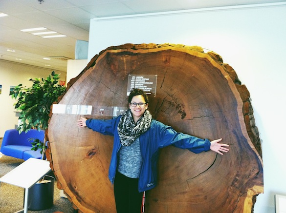 Wow! Look at the size of that tree! Photo Credit: Liz Plascencia