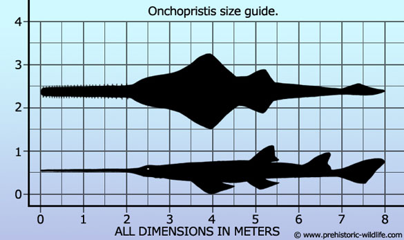 Onchopristis Sawfish Tooth Fossils-Lot of 10-Dinosaur Age 1 1/2-2 inch  #14047 
