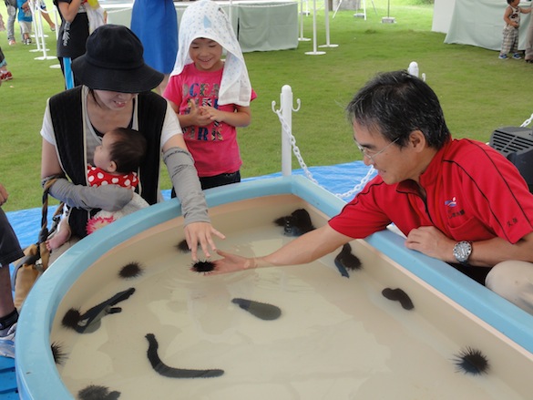 At the aquarium booth, people had a chance to touch sea cucumbers, urchins, and hermit crabs.