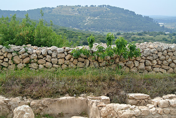 Khirbet Qeiyafa view of Tel  Azeka 041314