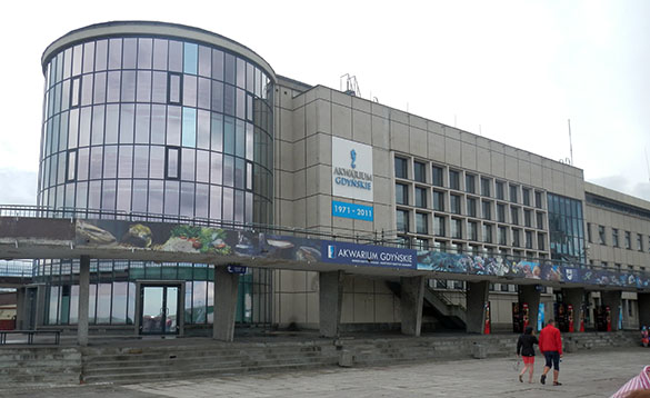 Akwarium Gdynia