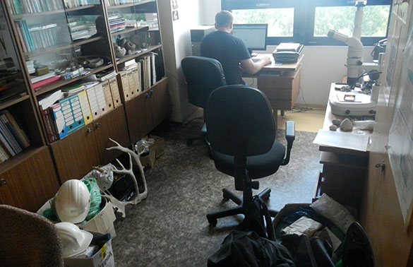 Michal office 061614