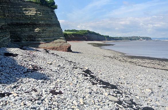 1 Triassic Lavernock Point Penarth Group