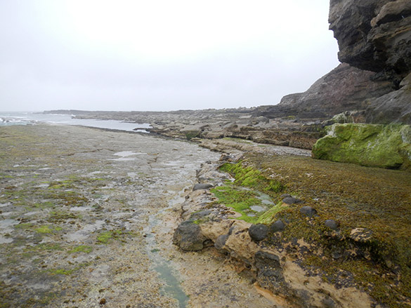 3 Low tide access Filey Brigg