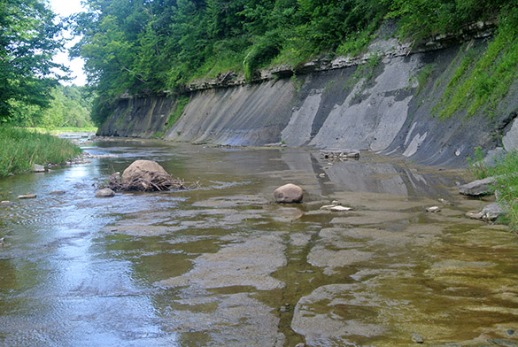 1 Wanakah at Buffalo Creek