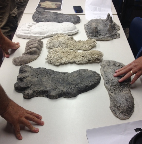 3 Bigfoot footprint casts 082915