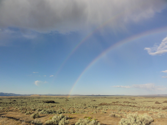 We were treated to a double rainbow over our field site after a light sprinkle in the desert.