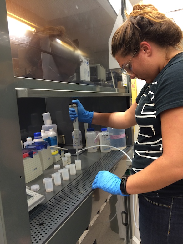 Mary pipetting acids into the vials to digest the samples.