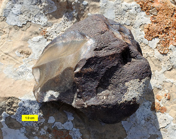 10 Lithic Core Negev 585