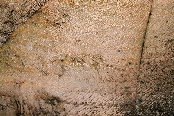 4 Bell cave carving marks