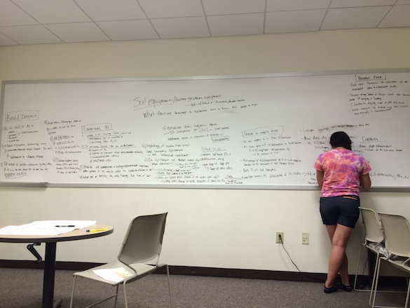 Amineh AlBashaireh ('18) filled the whiteboard with an impressive set of ideas and questions, which jump-started our research discussion.