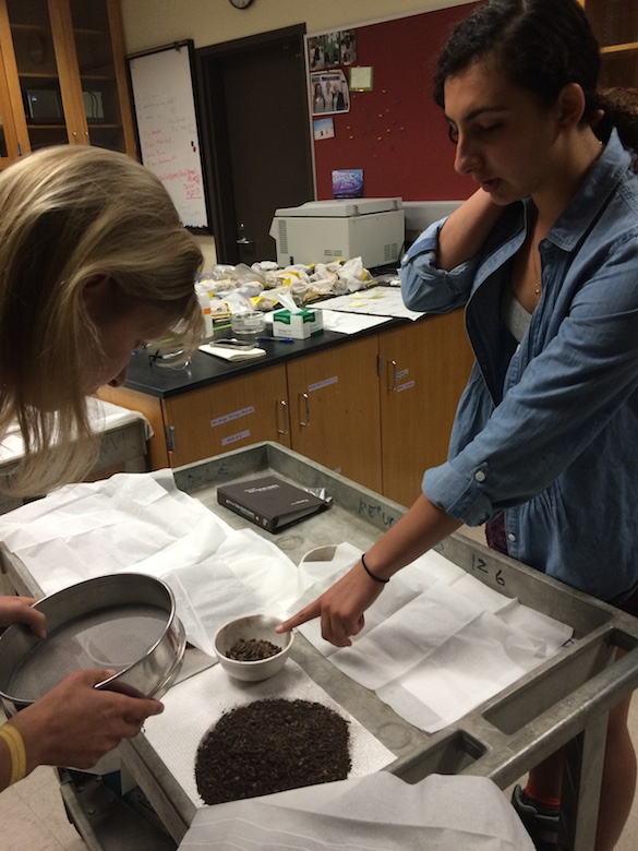 Dr. Beth O'Shea (USD) and Amineh AlBashaireh ('18) examine soil samples and discuss analytical strategies.