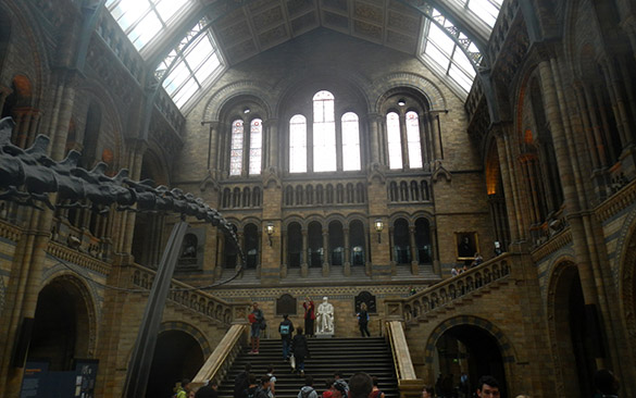 2 NHM cathedral of science