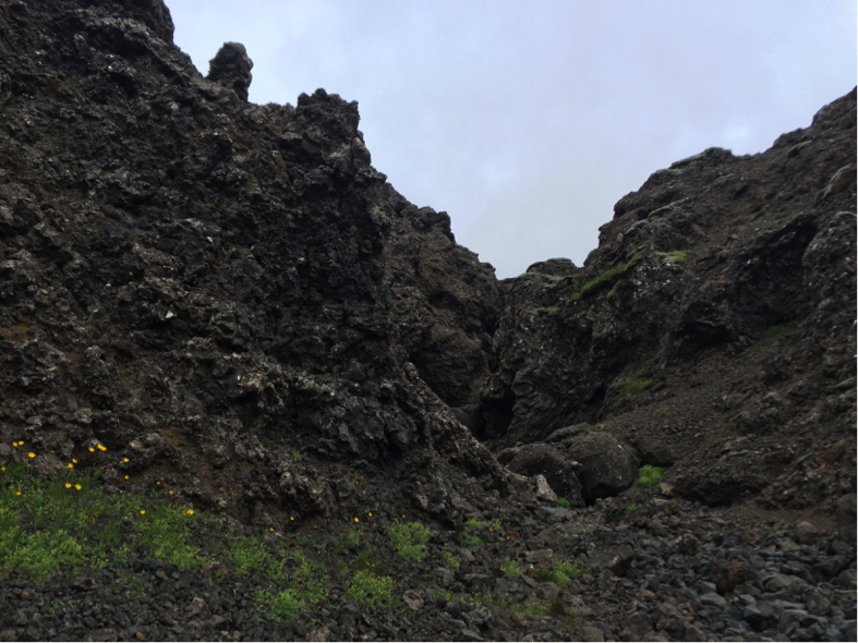 The gully we mapped. We discovered lots of fractured pillow lavas and dikes. 