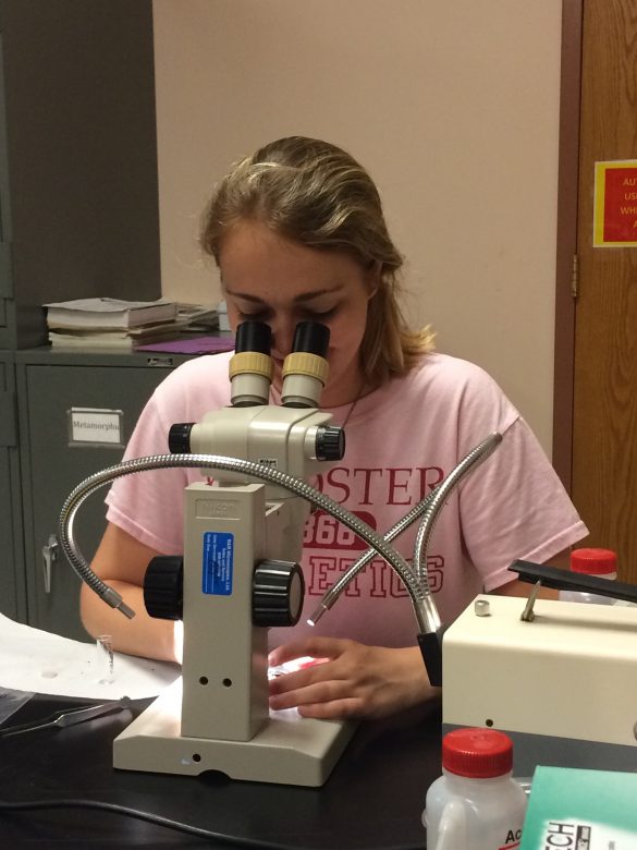 Another part of our work involves analyzing the compositions of volcanic glasses. Chloe Wallace ('17, Wooster) is picking out the freshest glass so that she can polish it for analysis by FTIR (Fourier Transform Infrared Spectroscopy) and Electron Microprobe. The FTIR will allow us to measure H2O contents while the microprobe will give us chemical compositions over small spatial scales.