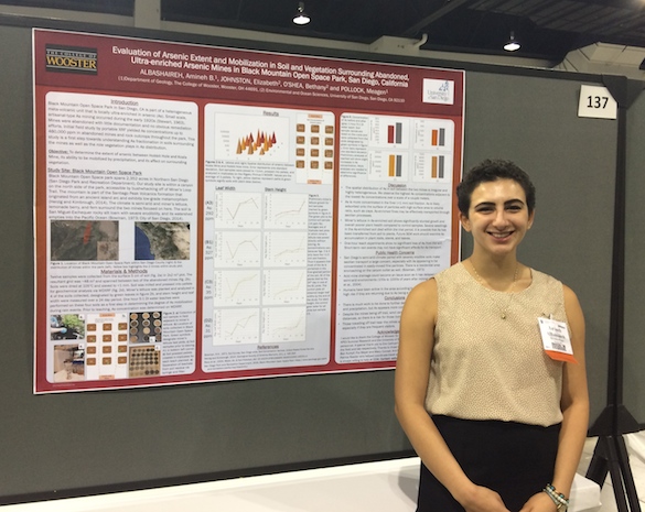 Amineh AlBashaireh ('18) has been conducting research on the occurrence and mobilization of arsenic.