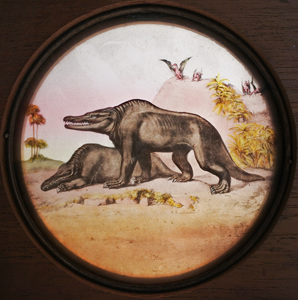 4-megalosaurus-pterodactyle